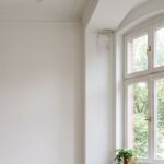 Feuchtigkeit & Schimmelsanierung in Lübeck – fachgerecht, erfahren und mit Augenmaß
