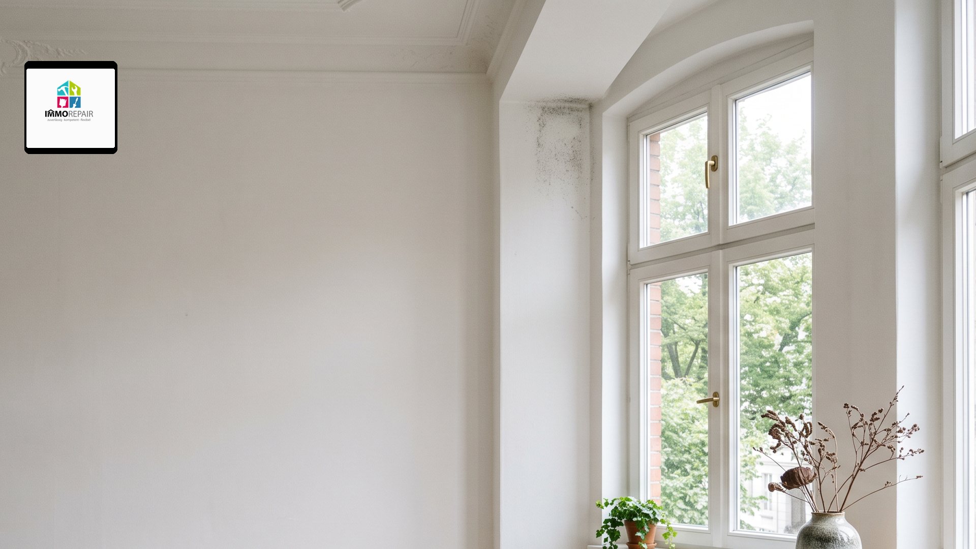 Dunkler Schimmelfleck oben an der Fensterlaibung einer hellen Altbauwand, daneben ein hohes Fenster mit Blick ins Grüne